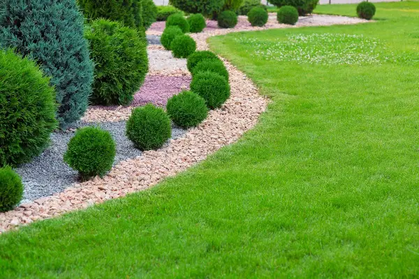 Lawn Care Services Lawn Care Services