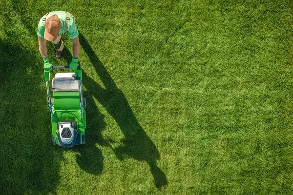 Lawn Mowing Lawn Mowing