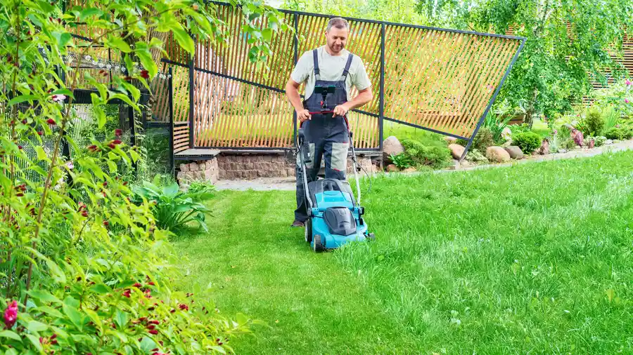 Affordable Lawn Mowing Bridgeport, TX Affordable Lawn Mowing Bridgeport, TX
