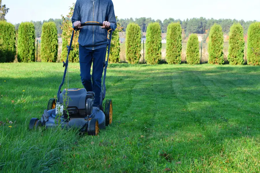 Essential Lawn Mowing Techniques For An Even Finish Bridgeport, TX Essential Lawn Mowing Techniques For An Even Finish Bridgeport, TX