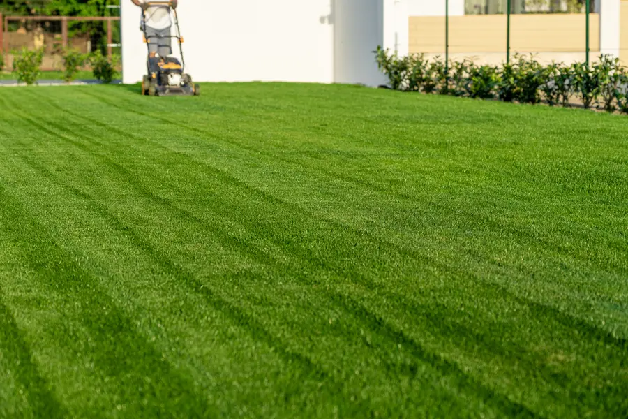 Essential Lawn Mowing Techniques For An Even Finish in Bridgeport, TX Essential Lawn Mowing Techniques For An Even Finish in Bridgeport, TX
