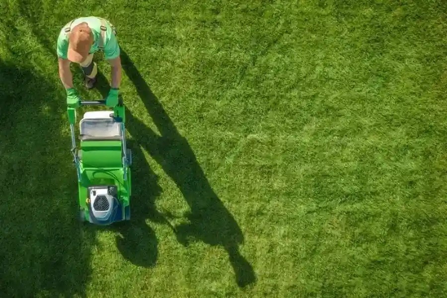 Excellent Grass Cutting Bridgeport, TX Excellent Grass Cutting Bridgeport, TX
