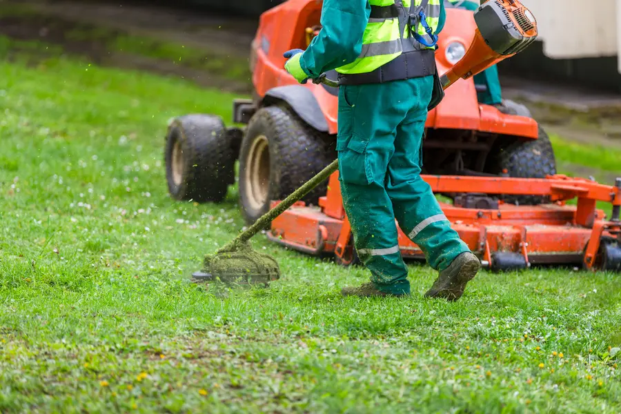 Expert Lawn Mowing Bridgeport, TX Expert Lawn Mowing Bridgeport, TX