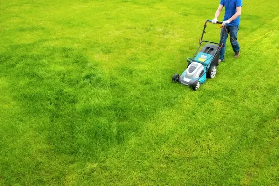 How Often Should You Schedule Grass Cutting in Bridgeport, TX How Often Should You Schedule Grass Cutting in Bridgeport, TX