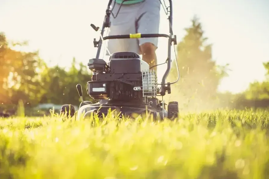 Local Grass Cutting Bridgeport, TX Local Grass Cutting Bridgeport, TX