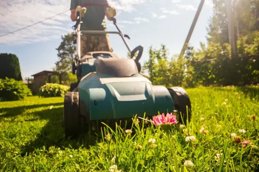 Premium Grass Cutting Bridgeport, TX Premium Grass Cutting Bridgeport, TX