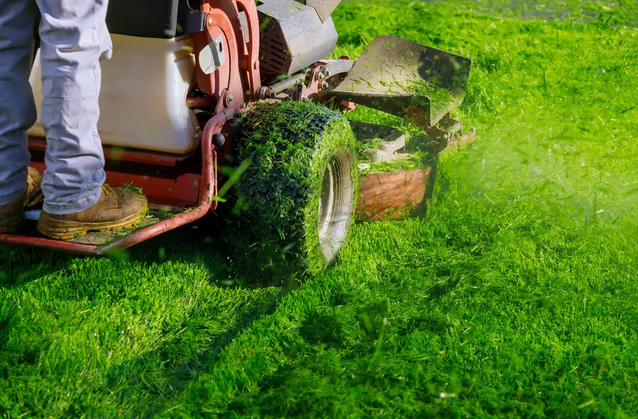 Quality Lawn Mowing Bridgeport, TX Quality Lawn Mowing Bridgeport, TX