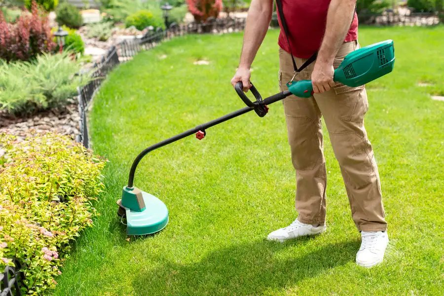 Reliable Lawn Care Services Bridgeport, TX