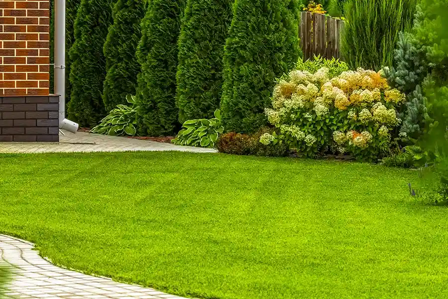Reputable Lawn Care Services Bridgeport, TX