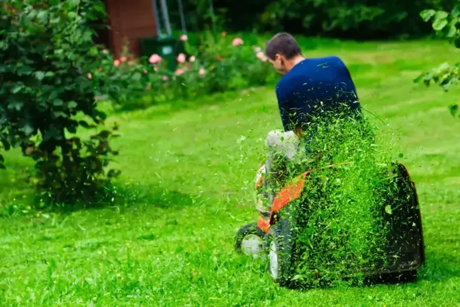 Signs Your Lawn Needs More Frequent Mowing in Bridgeport, TX