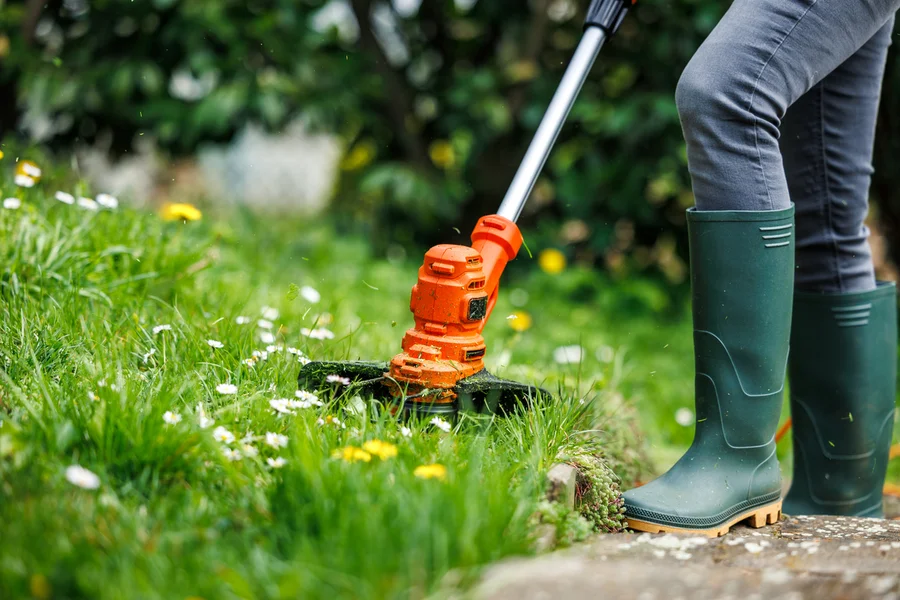 Top-rated Lawn Care Services Bridgeport, TX