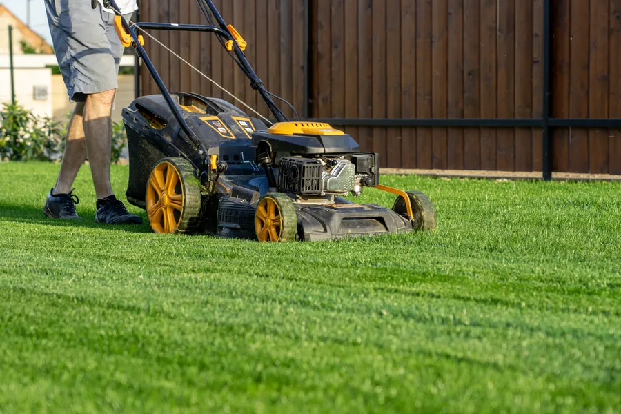 Understanding The Ideal Frequency For Lawn Mowing Bridgeport, TX Understanding The Ideal Frequency For Lawn Mowing Bridgeport, TX