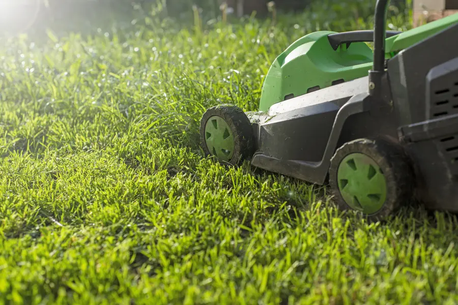 Understanding The Ideal Frequency For Lawn Mowing in Bridgeport, TX Understanding The Ideal Frequency For Lawn Mowing in Bridgeport, TX