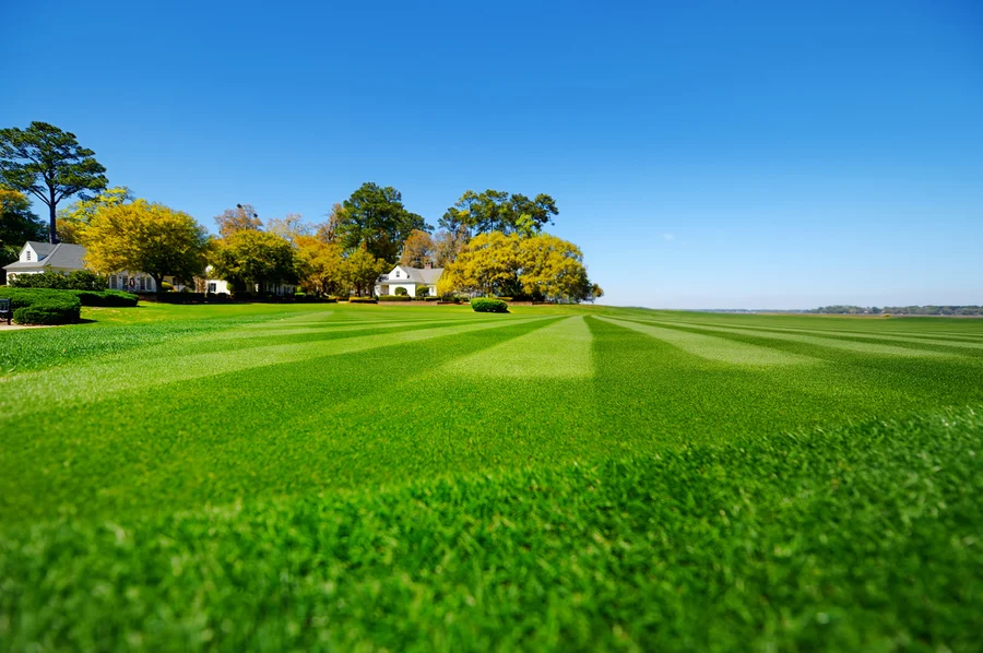 What To Expect From Professional Lawn Care Services in Bridgeport, TX What To Expect From Professional Lawn Care Services in Bridgeport, TX